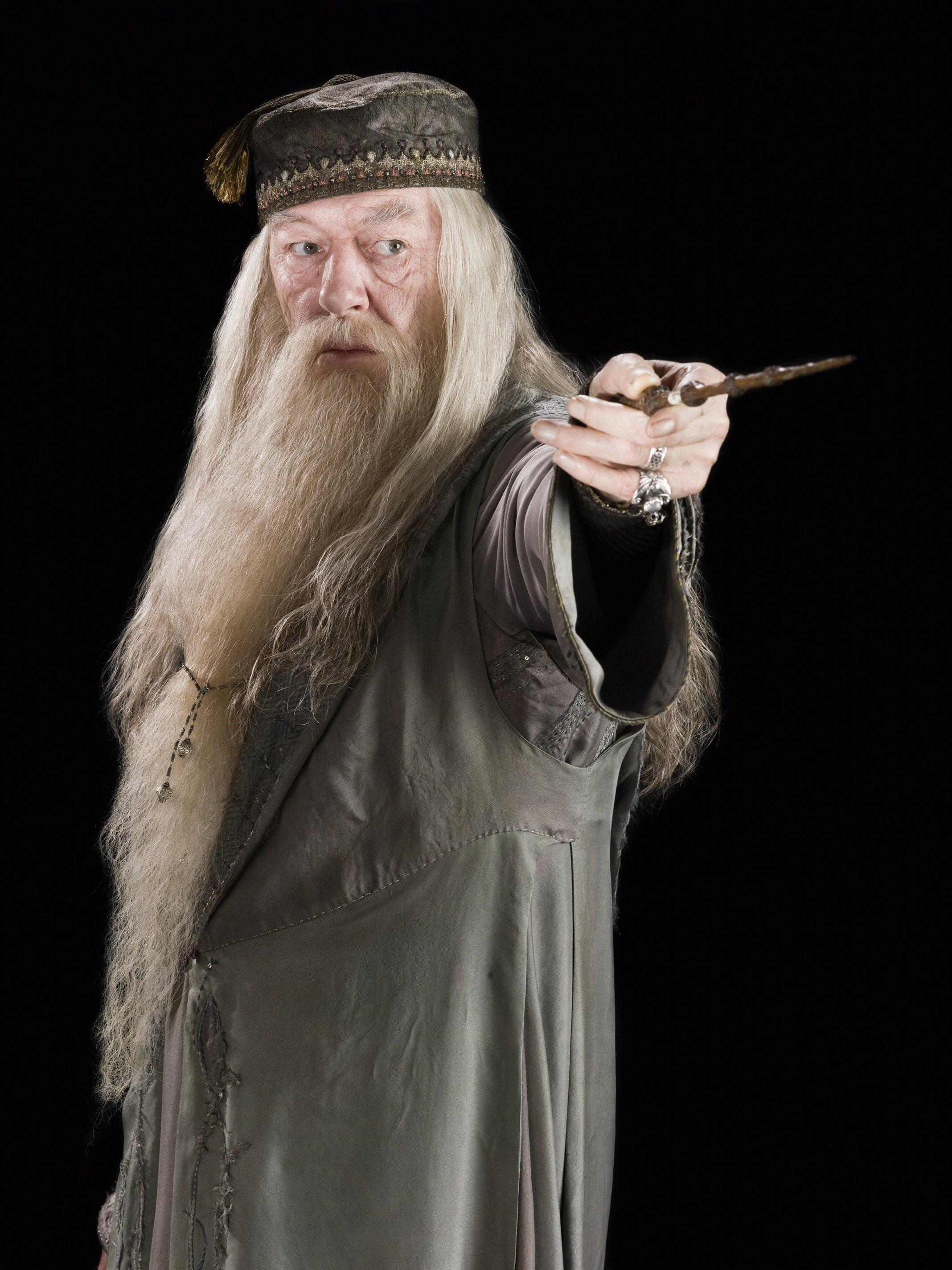 dumbledore varita de sauco