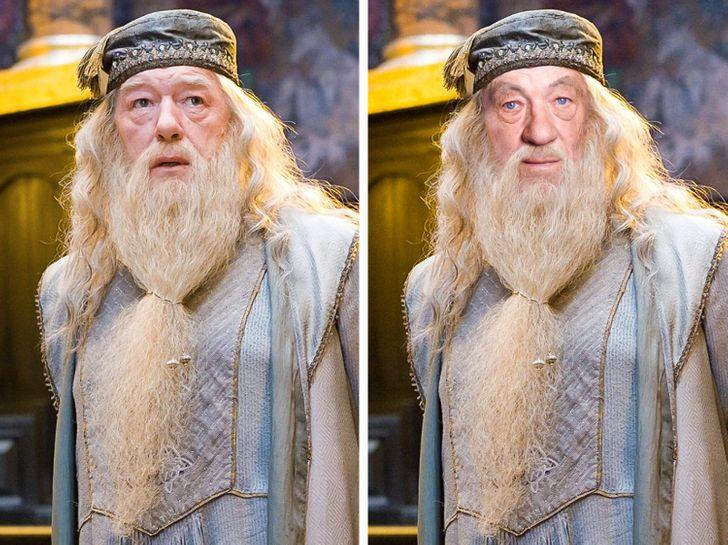 Ian McKellen — Albus Dumbledore