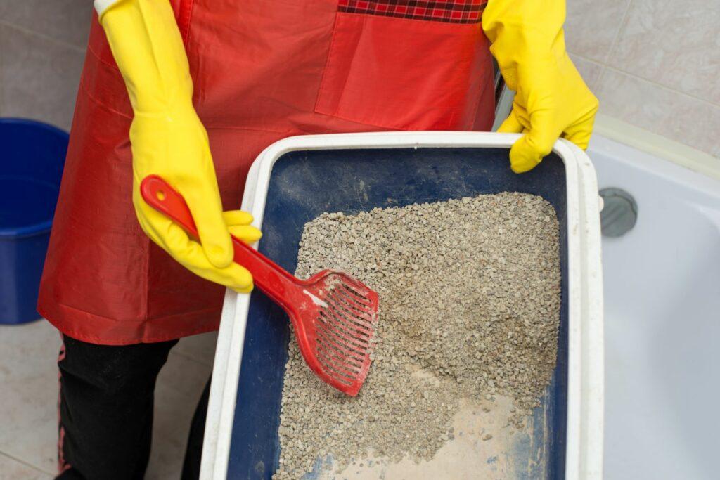¿Con qué frecuencia se debe limpiar la caja de arena del gato?