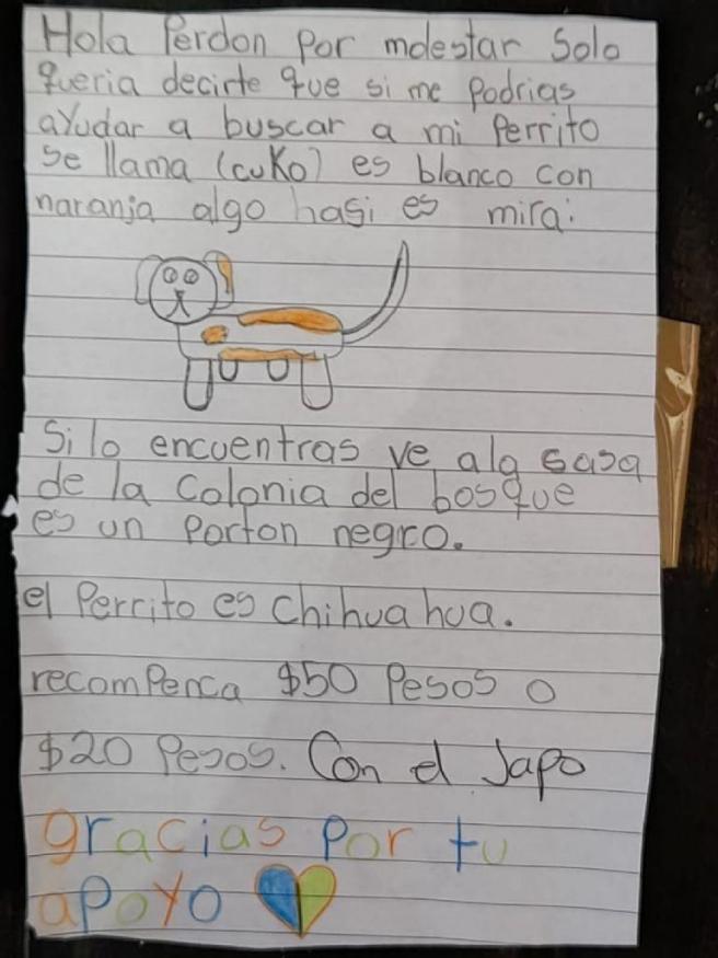 Carta completa de niña por su perro perdido