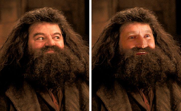 Robin Williams — Rubeus Hagrid