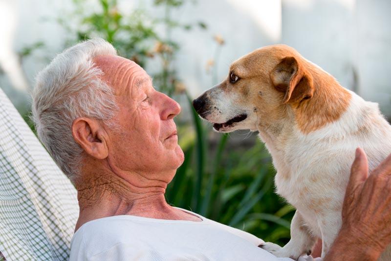 finalidad que tienes para adoptar un perro
