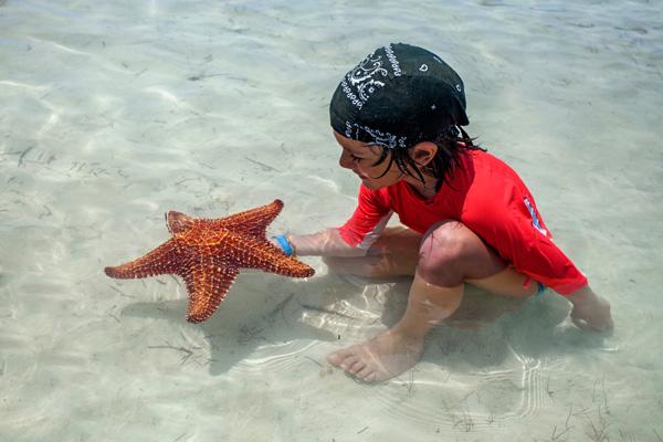 ¿Por qué es importante que los niños aprendan a valorar el océano?