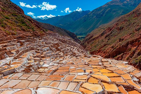 9 Experiencias de un día que no conocías de Inca Rail