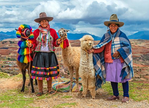 Alpaca Terapia: Conecta con la energía Inca en Valle Sagrado