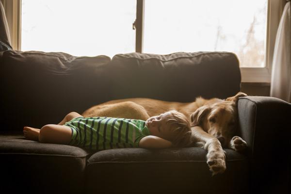 ¿La siesta es el secreto para que los niños aprendan mejor?