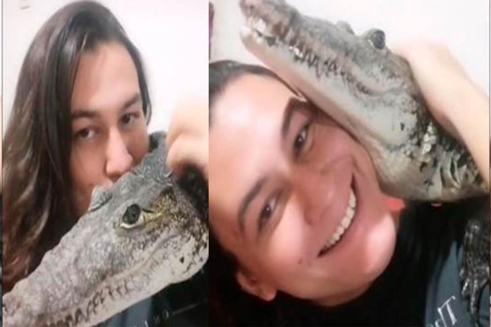 Pelos y Plumas | TikTok viral: Joven sorprende con un cocodrilo como mascota